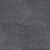 Coco-24-PIOMBO.jpg